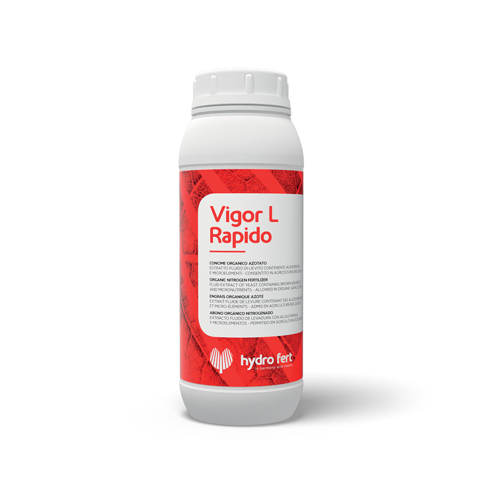 vigor-l-rapido-Pic
