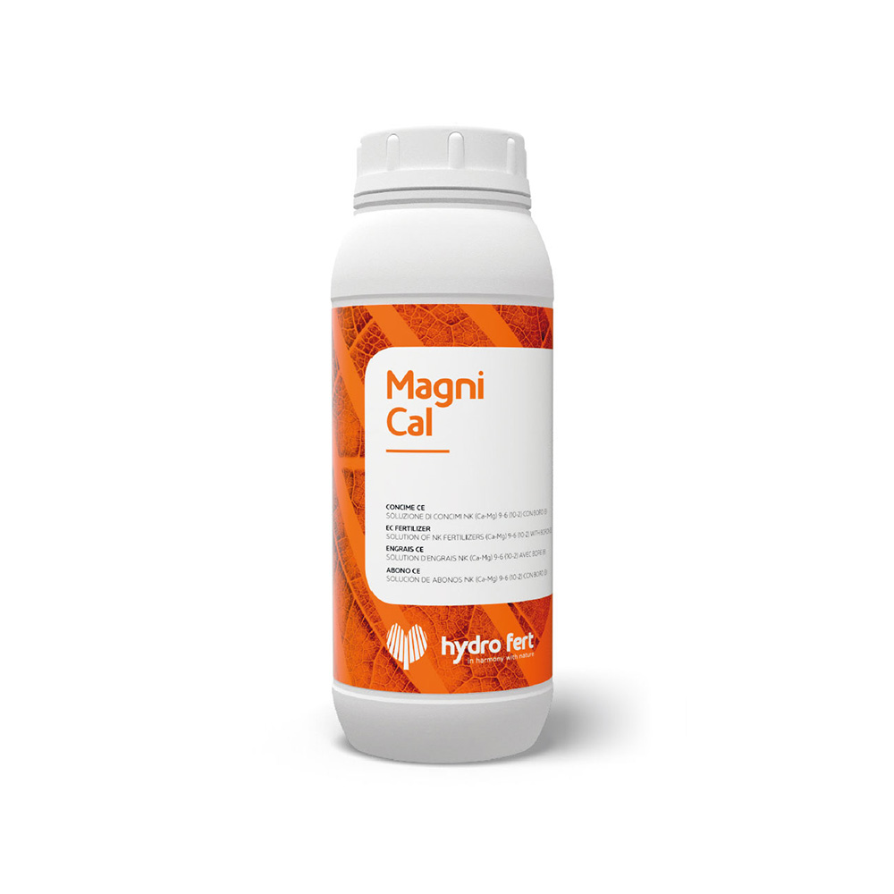 Magni-Cal-Img
