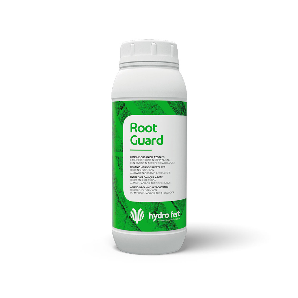 Root-Guard-Img