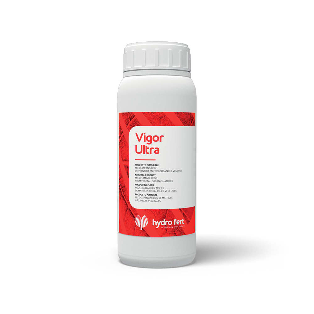 Vigor-Ultra-Img